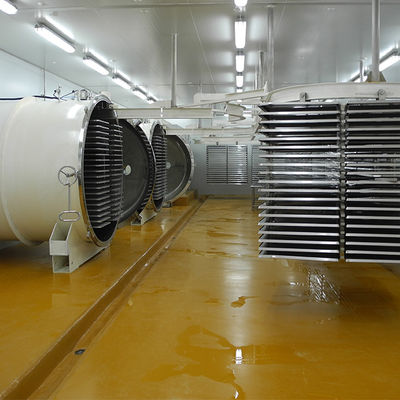 多機能の自動500kg凍結乾燥機械