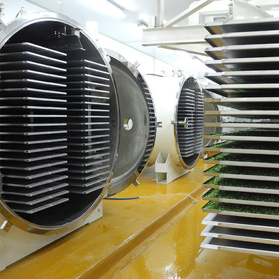 多機能の自動500kg凍結乾燥機械